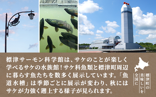 標津サーモン科学館グッズセットD　鮭ポーチ エコバッグ ボールペン クリップ 付箋 コースター【1468951】