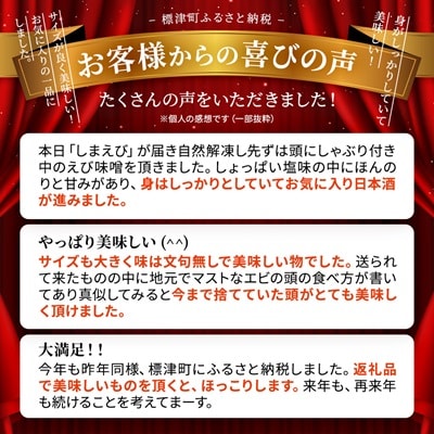 北海道産ボイル北海しまえび【3D凍結】大 400g×1　エビ 海老 冷凍 おいしい【配送不可地域：離島】【1123704】