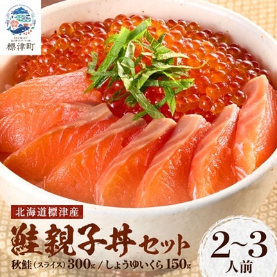 鮭親子丼セット【純標津産】2〜3人前用 イクラ 北海道 人気 おすすめ サケ サーモン 魚卵 天然【配送不可地域：離島】【1176412】