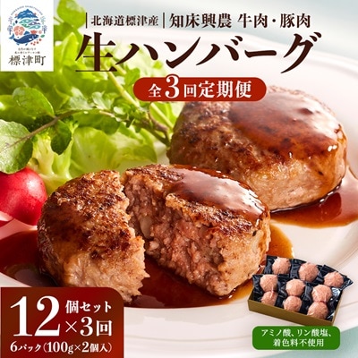 【毎月定期便】生ハンバーグ12個セット　冷凍 国産 牛肉 豚肉 ギフト 小分け 人気 全3回【配送不可地域：離島】【4006285】