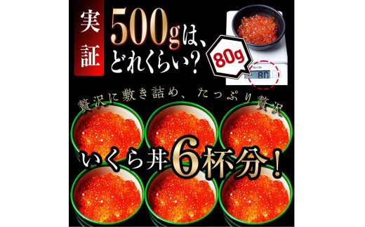 北海道産 いくら 500g （鮭卵）醤油漬け 大容量 生産者応援 イクラ 魚