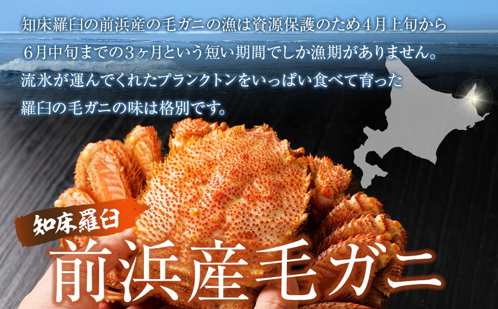 ãå
è¡äºçŽ/2026幎4æçºééå§ã掻æ¯ã¬ãã倧ïŒå°ŸïŒ600gïœ650gååŸïŒ