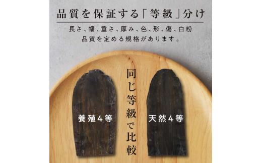 羅臼昆布 定期便(480g×3回) 年3回！海鮮工房厳選 北海道 知床 羅臼産 養殖1等 生産者 支援 応援