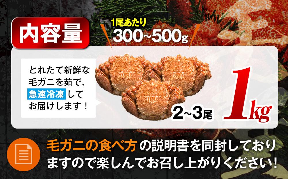 2025年産　ボイル冷凍毛ガニ　１kg　300g～500g　2～3尾