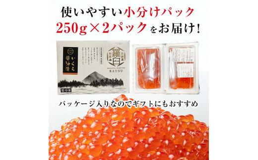 【8月発送】北海道産 いくら（鮭卵）醤油漬け 大容量500g(250g×2パック) 国産 小分けパック イクラ 海鮮丼 ギフト 贈り物 魚介類 魚介 海産物 鮭 シャケ しゃけ 生産者 支援 応援