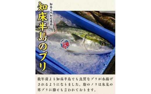 北海道 知床羅臼産 天然ぶり刺身 500g (250g×2パック) 魚 海産物 魚介 魚介類 ブリ 鰤 刺身 ご飯のお供 冷凍 生産者 支援 応援