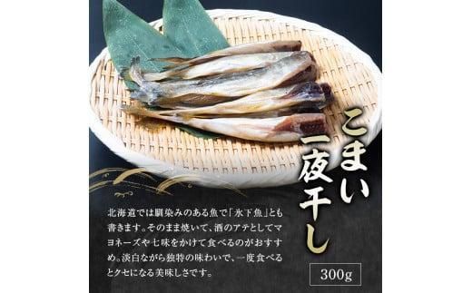 5回定期便 羅臼の魚 おすすめセット(1) 魚 切り身 切身 海鮮 福袋 家族 たら さくらます ほっけ カレイ こまい 一夜干し 粕漬け 北海道産 海鮮 海産物 魚介 魚卵 生産者 応援 支援 詰め合わせ