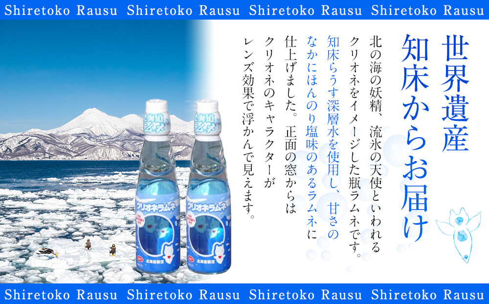 クリオネラムネ 深層水 世界自然遺産 北の海の妖精 流氷の天使 キャラクター 北海道 知床 羅臼 炭酸 炭酸飲料 瓶 塩 ジュース 清涼飲料水 生産者 支援 応