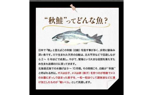 【8月発送】北海道産 いくら（鮭卵）醤油漬け 大容量500g(250g×2パック) 国産 小分けパック イクラ 海鮮丼 ギフト 贈り物 魚介類 魚介 海産物 鮭 シャケ しゃけ 生産者 支援 応援