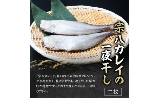 6回定期便 羅臼の魚 おすすめセット(1) 魚 切り身 切身 海鮮 福袋 家族 たら さくらます ほっけ カレイ こまい 一夜干し 粕漬け 北海道産 海鮮 海産物 魚介 魚卵 生産者 応援 支援 詰め合わせ