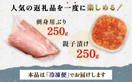 【2025年2月発送】親子漬け・ぶり刺身セット500g（各250g×1）小分け いくら イクラ 秋鮭 さけ サケ 醤油漬け しょうゆ漬け ブリ 鰤 北海道 国産 羅臼 海鮮 魚介 ご飯のお供 生産者 支援 応援