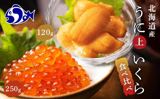 【先行/2026年1月より発送】知床羅臼町産うにといくらの食べ比べセット（うに【上】120g・いくら250g） 生産者 支援 応援