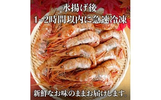 北海道産 知床羅臼産ボタンエビ 大サイズ1.2kg（300g×4パック） ぼたんえび ぼたん海老 魚介類 北海道 魚介 海産物 冷凍 刺身 海鮮丼 生産者 支援 応援