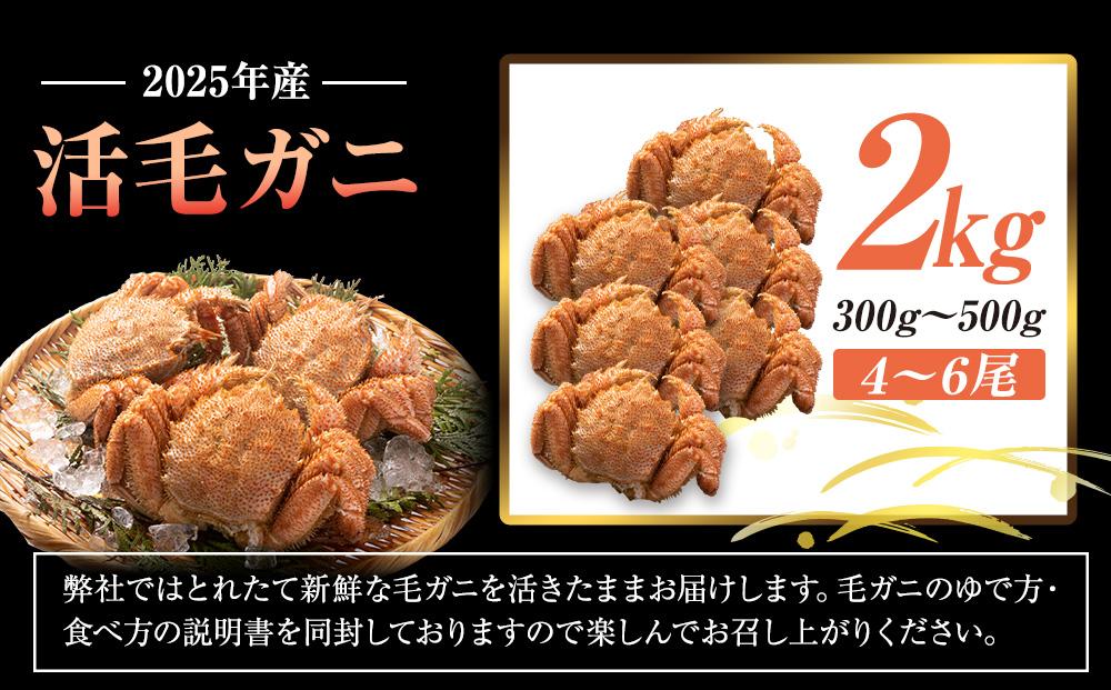 2025年産　活毛ガニ　２kg　300g～500g　４～６尾