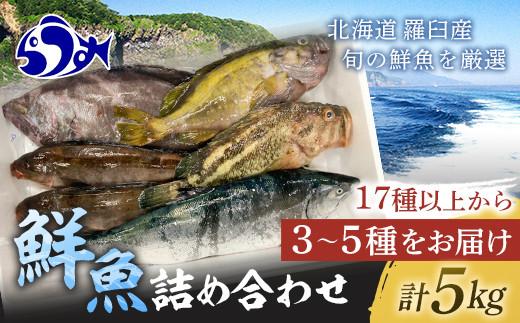 知床羅臼産 鮮魚詰め合わせA　約5kg 魚 さかな 旬の魚 鮮魚 羅臼町 北海道 生産者 支援 応援