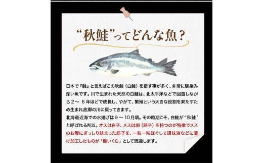 【2月発送】北海道産 いくら（鮭卵）醤油漬け 大容量400g(200g×2パック) 国産 小分けパック イクラ 海鮮丼 ギフト 贈り物 魚介類 魚介 海産物 鮭 シャケ しゃけ 生産者 支援 応援