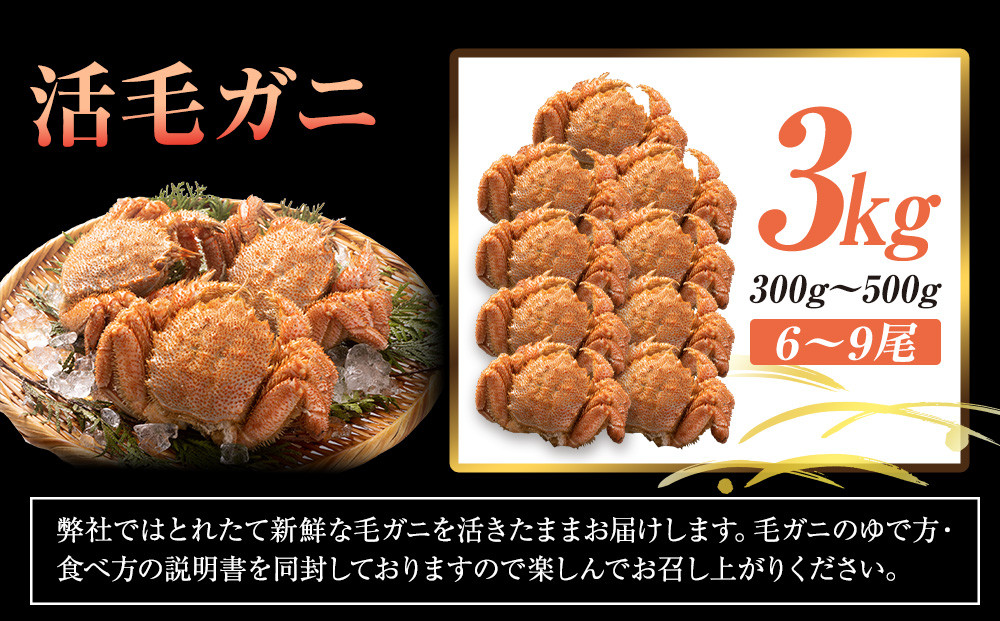  【先行予約/2026年4月発送開始】活毛ガニ　３kg　300g～500g　６～９尾
