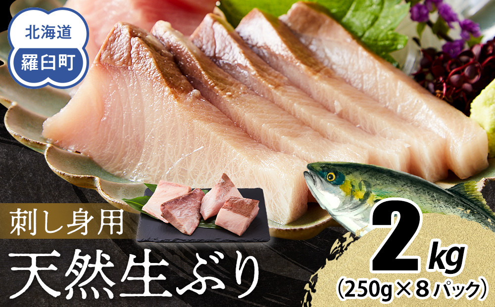 【2026年1月発送】北海道 知床羅臼産 天然ぶり刺身 2kg (250g×8パック) 魚 海産物 魚介 魚介類 ブリ 鰤 刺身 ご飯のお供 冷凍 生産者 支援 応援