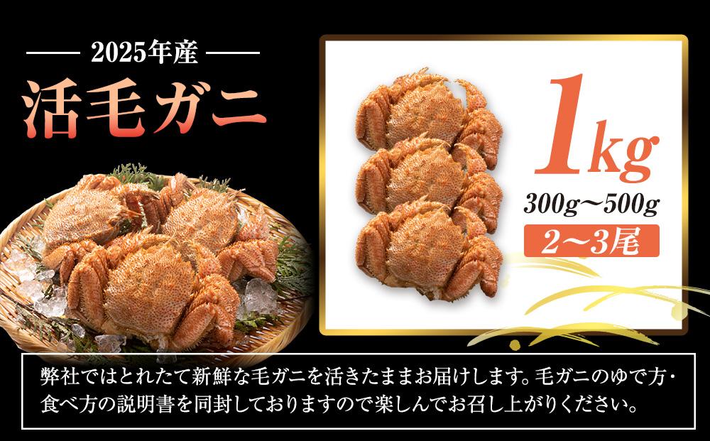 2025年産　活毛ガニ　１kg　300g～500g　２～３尾