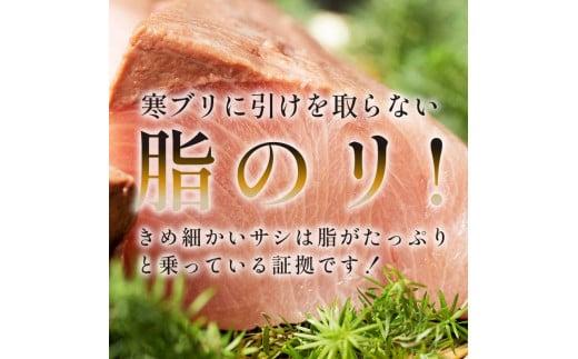 北海道 天然ぶり刺身3kg（250g ×12パック） 魚 海産物 魚介 魚介類 知床 しれとこ 羅臼 らうす 北海道 世界自然遺産 送料無料 人気 ブランド 天然 ブリ 鰤 刺身 海産 生産者 支援 応援