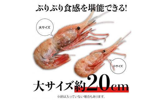 北海道産 知床羅臼産ボタンエビ 大サイズ1.2kg（300g×4パック） ぼたんえび ぼたん海老 魚介類 北海道 魚介 海産物 冷凍 刺身 海鮮丼 生産者 支援 応援