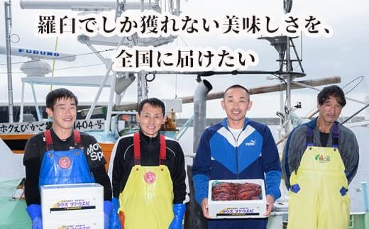 幻のぶどうえび（大・250g /4～6尾）エビ 海老 ブドウエビ 羅臼町 北海道 魚介類 魚介 海産物 冷凍 生産者 支援 応援