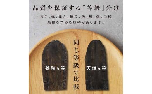 羅臼昆布 養殖 1等 480g(LLサイズ480g×1個) 北海道 知床 羅臼産 生産者 支援 応援