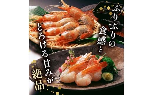 北海道産 知床羅臼産ボタンエビ 大サイズ600g（300g×2パック） ぼたんえび ぼたん海老 魚介類 北海道 魚介 海産物 冷凍 刺身 海鮮丼 生産者 支援 応援