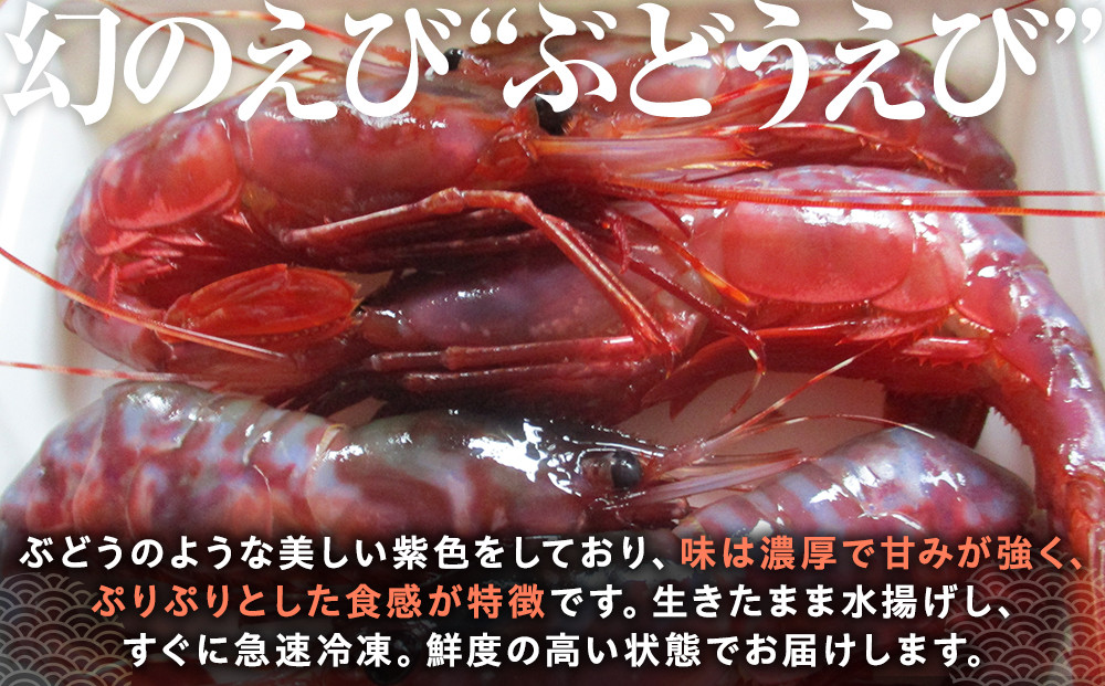 幻のぶどうえび（大・250g /4～6尾）エビ 海老 ブドウエビ 羅臼町 北海道 魚介類 魚介 海産物 冷凍 生産者 支援 応援