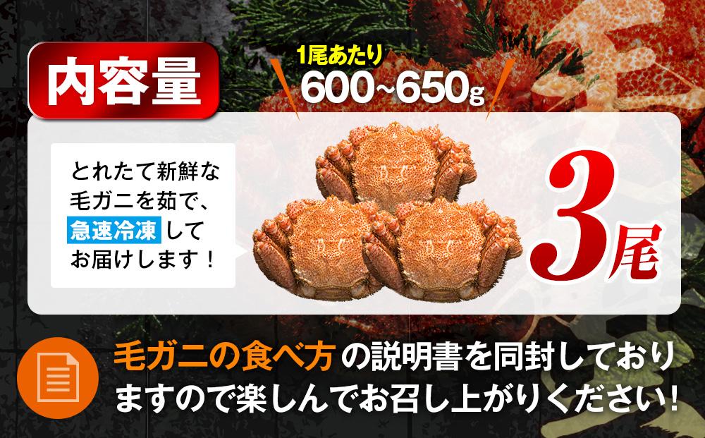 ãå
è¡äºçŽ/2026幎4æçºééå§ã2026幎ç£ããã€ã«å·åæ¯ã¬ãã倧ïŒå°ŸïŒ600ïœ650gïŒ