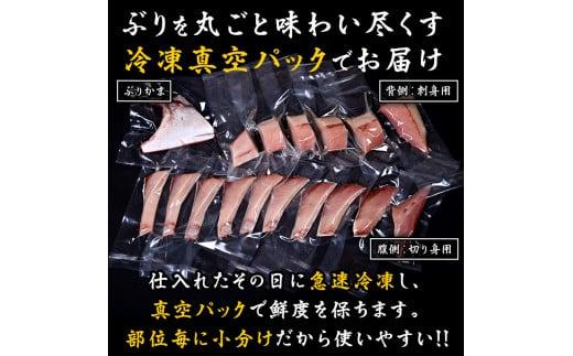 ぶり三昧(2)(半身分) 生産者 支援 応援