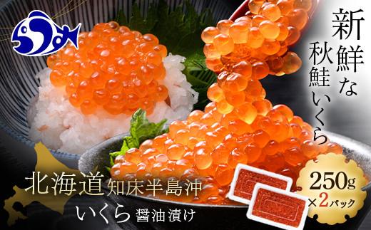 いくら醤油漬け 500g（250g×2パック） イクラ 魚卵 いくら丼 海鮮丼 ご飯のお供 羅臼町 北海道 生産者 支援 応援