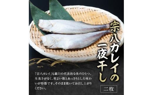 羅臼の魚 おすすめセット(1) 魚 切り身 切身 海鮮 福袋 家族 たら さくらます ほっけ カレイ こまい 一夜干し 粕漬け 北海道産 海鮮 海産物 魚介 魚卵 生産者 応援 支援 詰め合わせ