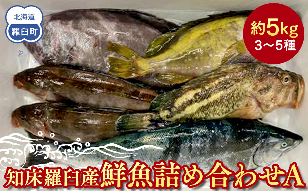 知床羅臼産 鮮魚詰め合わせA　約5kg 魚 さかな 旬の魚 鮮魚 羅臼町 北海道 生産者 支援 応援