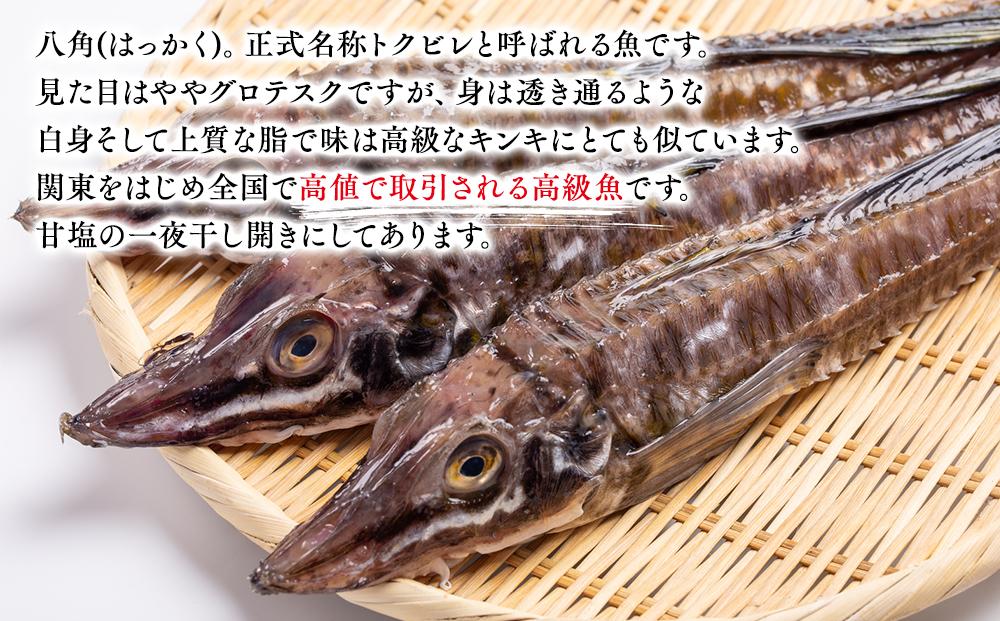 北海道 知床羅臼産 八角（ハッカク）一夜干　200g×3パック 生産者 支援 応援