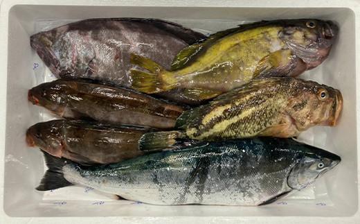 知床羅臼産 鮮魚詰め合わせA　約5kg 魚 さかな 旬の魚 鮮魚 羅臼町 北海道 生産者 支援 応援
