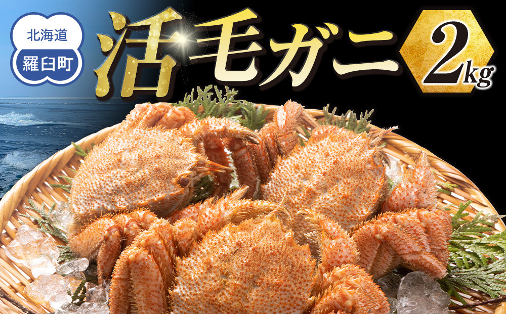 【先行予約/2026年4月発送開始】活毛ガニ　２kg　300g～500g　４～６尾