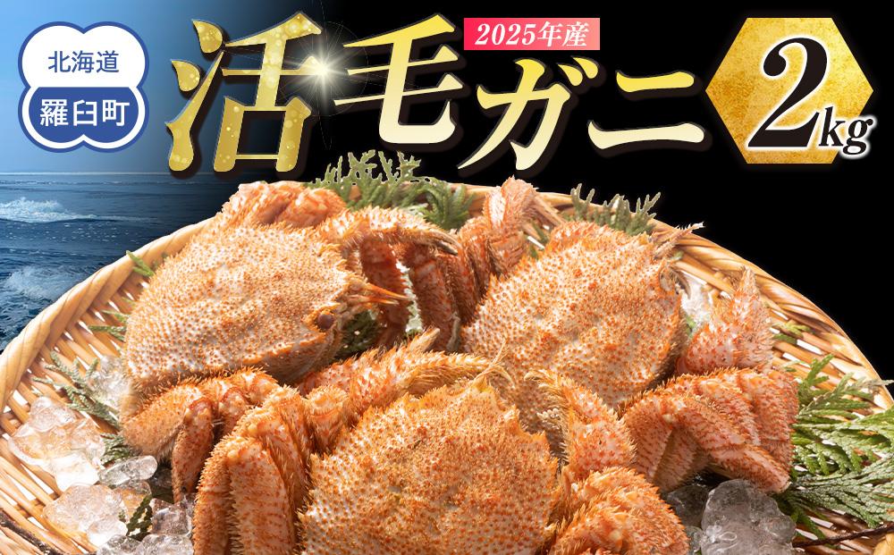 2025年産　活毛ガニ　２kg　300g～500g　４～６尾