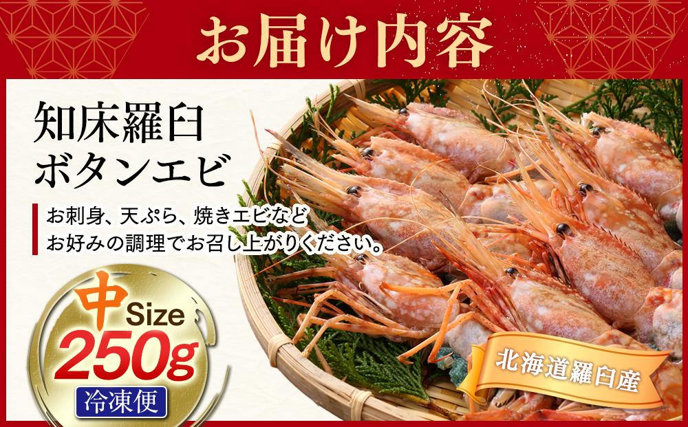 知床羅臼ボタンエビ(中) 250g 生産者 支援 応援