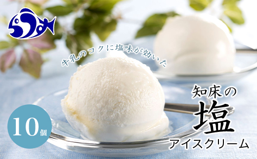 知床の塩アイスクリーム 10個 F21M-450