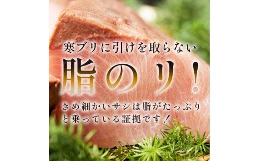 北海道 知床羅臼産 天然ぶり刺身 1kg (250g×4パック) 魚 海産物 魚介 魚介類 ブリ 鰤 刺身 ご飯のお供 冷凍 生産者 支援 応援