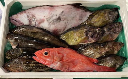 知床羅臼産 鮮魚詰め合わせB　約5kg 魚 さかな 旬の魚 鮮魚 羅臼町 北海道 生産者 支援 応援