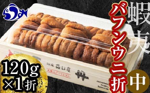 【先行予約】北海道知床羅臼産 天然エゾバフンうに（中）うに折  120g×1枚　2025年1月中旬から発送