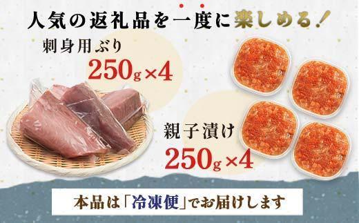 【2025年2月発送】親子漬け・ぶり刺身セット2kg（各250g×4）小分け いくら イクラ 秋鮭 さけ サケ 醤油漬け しょうゆ漬け ブリ 鰤 北海道 国産 羅臼 海鮮 魚介 ご飯のお供 生産者 支援 応援