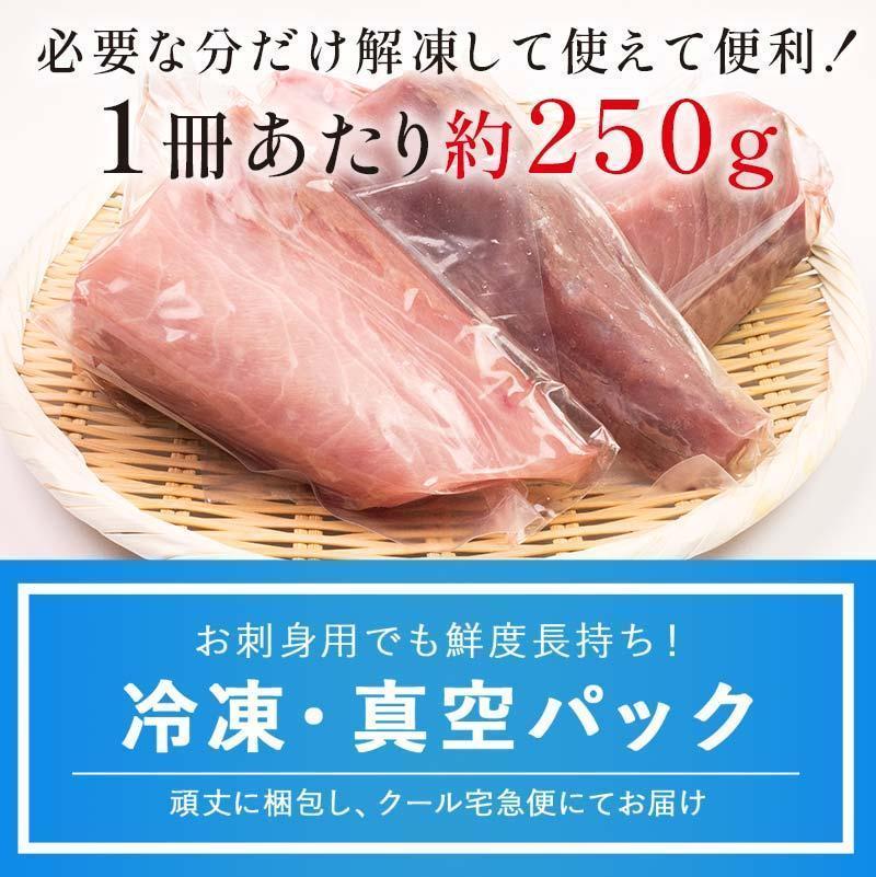 【2026年3月発送】北海道 知床羅臼産 天然ぶり刺身 2kg (250g×8パック) 魚 海産物 魚介 魚介類 ブリ 鰤 刺身 ご飯のお供 冷凍 生産者 支援 応援