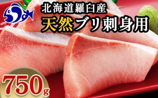 【2025年1月発送】北海道 知床羅臼産 天然ぶり刺身 750g（250g ×3パック） 魚 海産物 魚介 魚介類 ブリ 鰤 刺身 ご飯のお供 冷凍 生産者 支援 応援