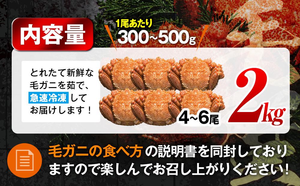 2025年産　ボイル冷凍毛ガニ　２kg　300g～500g　4～6尾