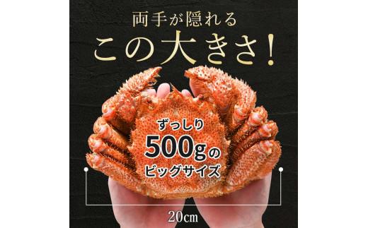 北海道 知床 羅臼産毛がに 500g×2尾 毛ガニ 海産物 魚介類 魚介 毛蟹 ケガニ 毛かに 毛カニ 蟹 カニ 海産物 魚介 海鮮丼 手巻き 寿司 正月 新鮮 海鮮 豪華 生産者 支援 応援