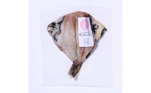 çŸ
èŒç£ äžå€å¹²ã ãé4çš®8ç¹ã»ããïŒ ã»ã£ãéã ãã é± ç§é® åæµ·é ç¥åº çŸ
èŒçº çç£è
æ¯æŽ å¿æŽ