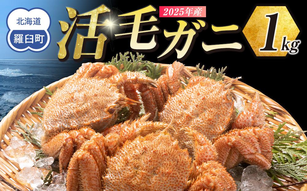 2025年産　活毛ガニ　１kg　300g～500g　２～３尾